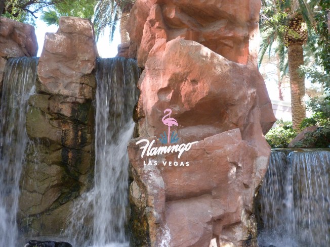 Flamingo Hotel garden