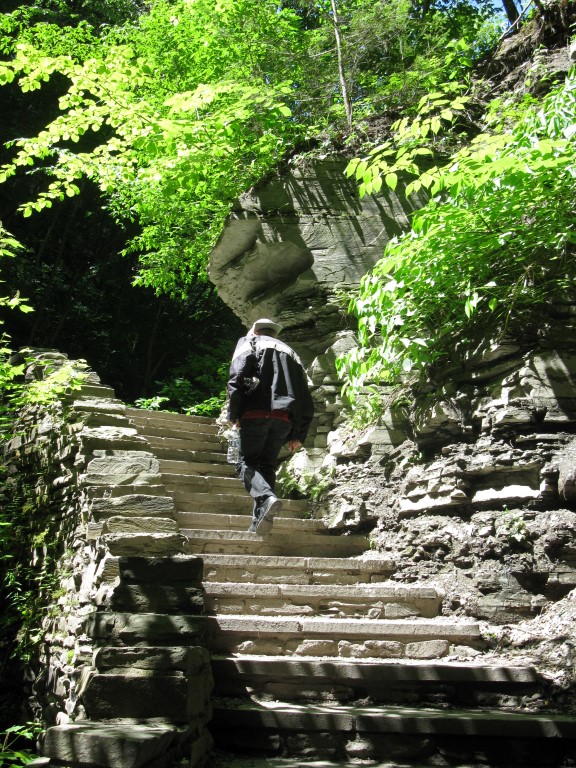 Steps up the Gorge
