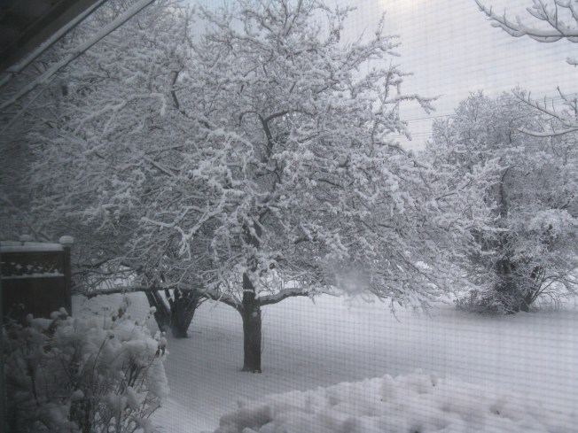 Winter through a Window