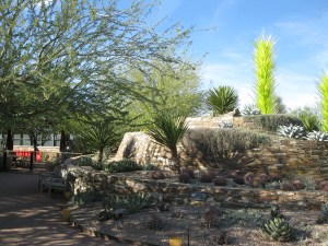 Desert Botanical Gardens