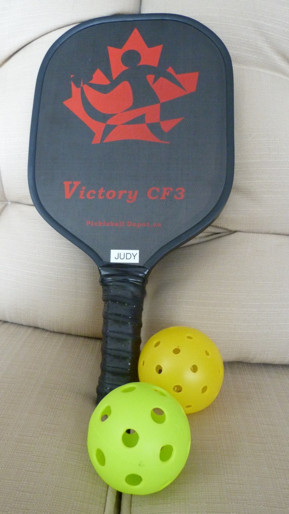 Pickle Ball Paddle and Balls