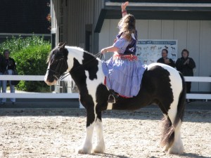 Gypsy Horse