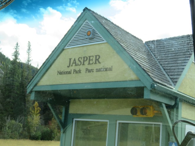 Jasper (16)