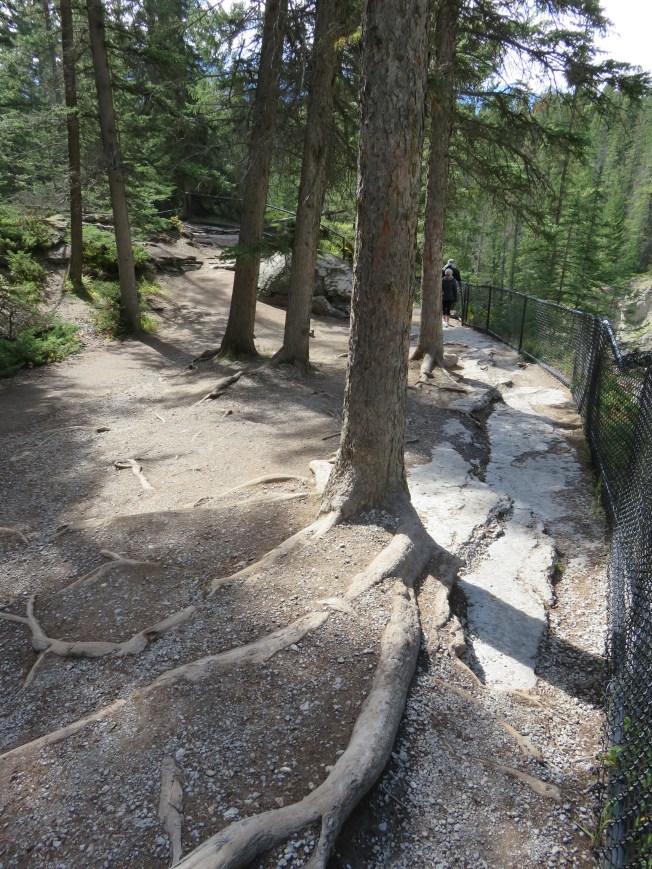 Jasper.Maligne Gorge (14)