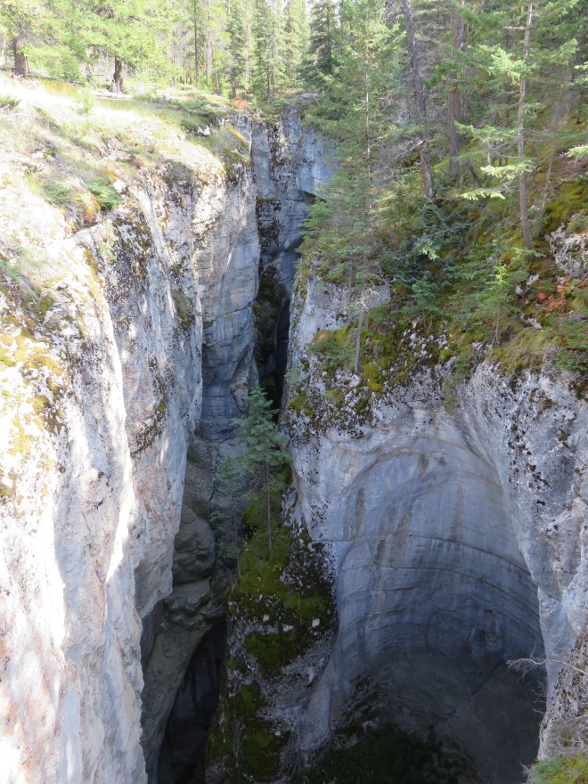Maligne Gorge