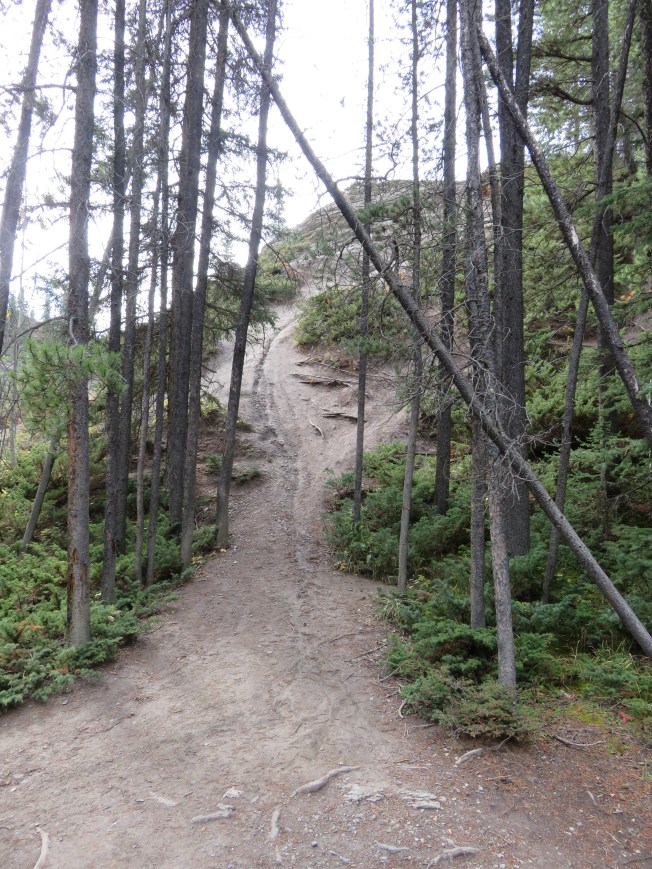 Jasper.Maligne Gorge (60)
