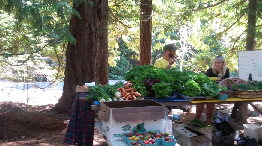 Hornby Island Market