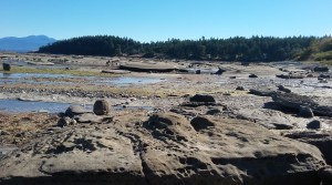 Rocky Sand Piper Beach