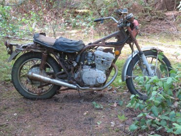 A hidden treasure along one trail