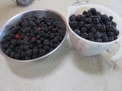Blackberries
