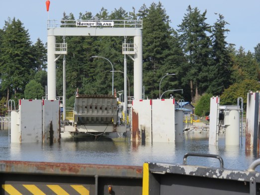 On the Hornby Island Ferry