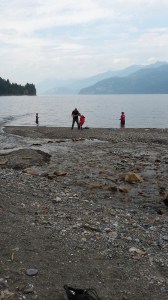 Fishing on the beach at Fletcher Falls