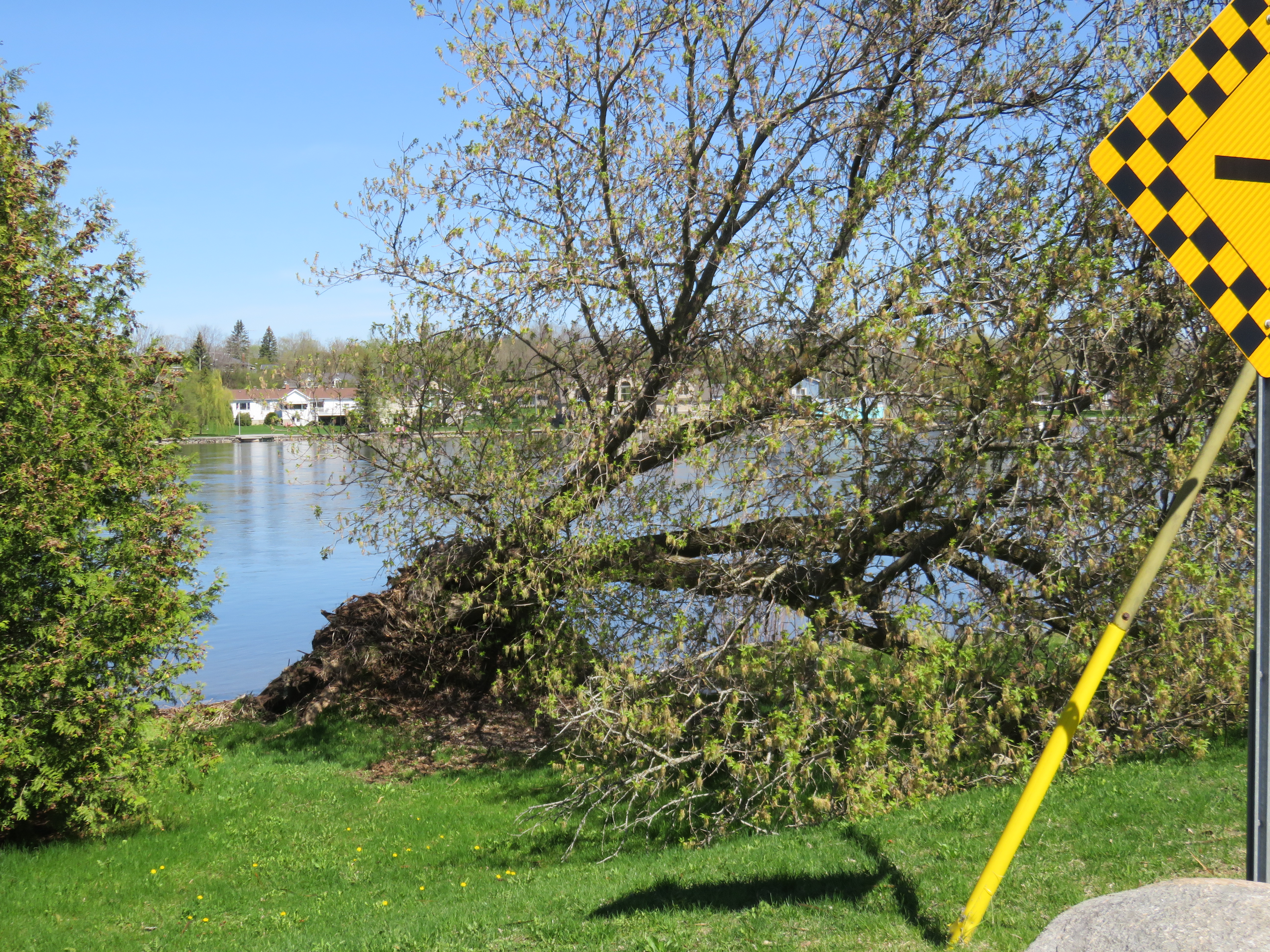 Aftermath of first wind storm