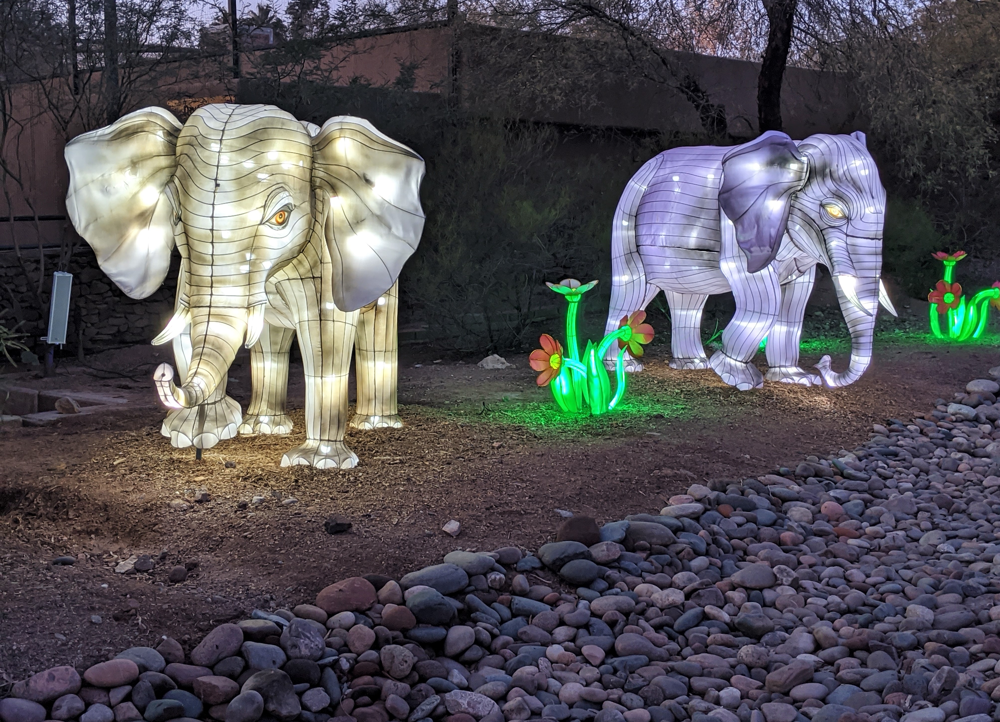 IMG_20200111_175228 (2)