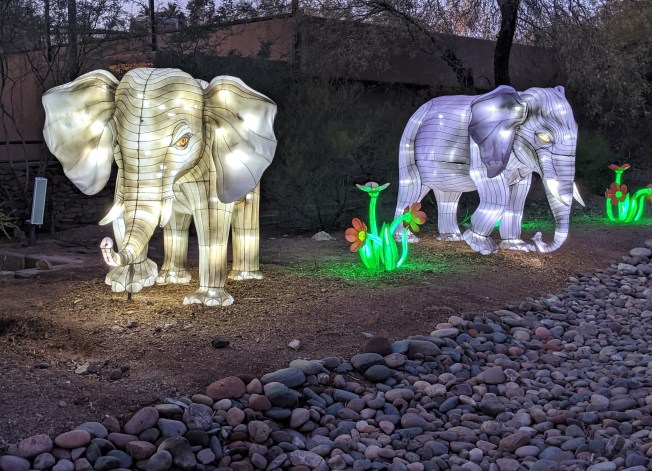 IMG_20200111_175228 (2)