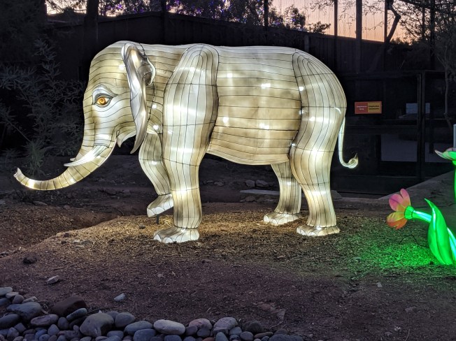 IMG_20200111_175330 (2)