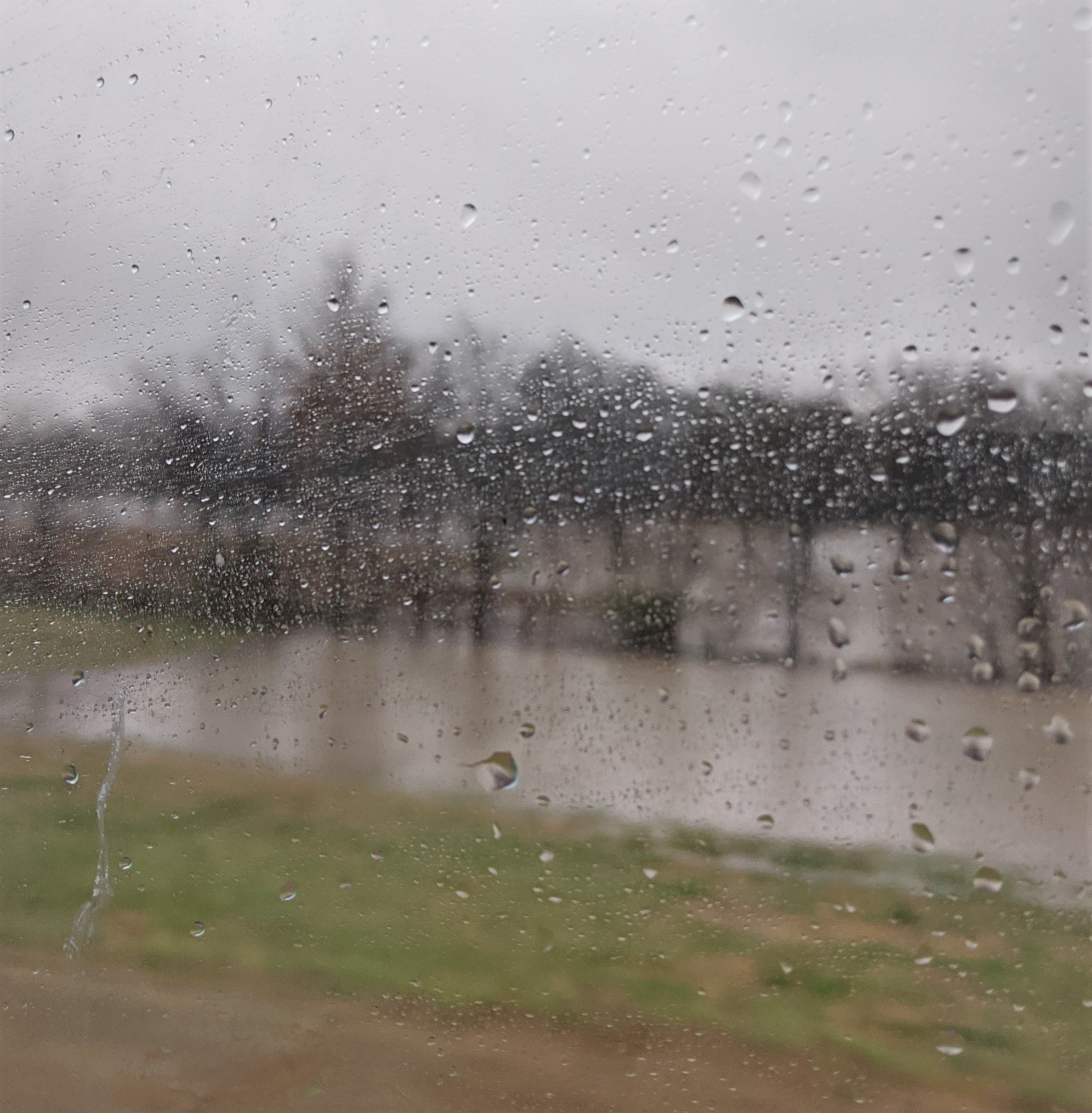 Flooded Fields Close to Road