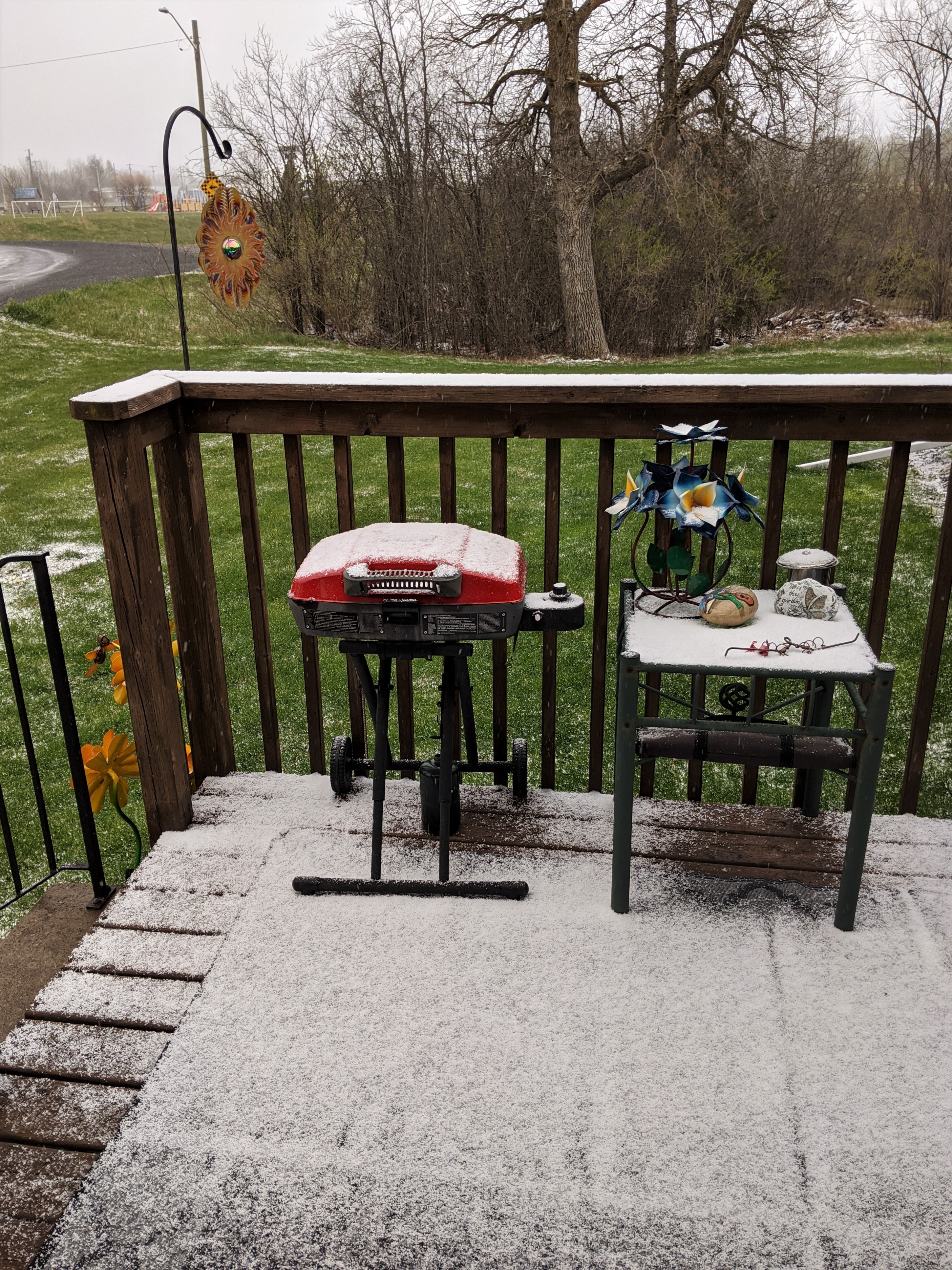Snow on the deck, May 8, 2020