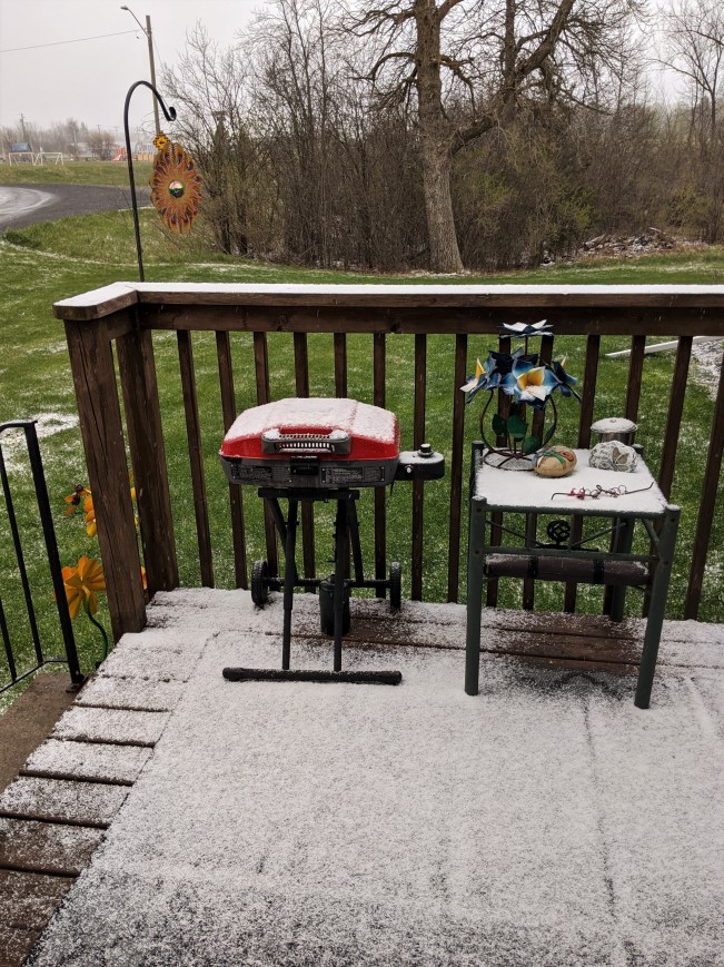 Snow on the deck, May 8, 2020